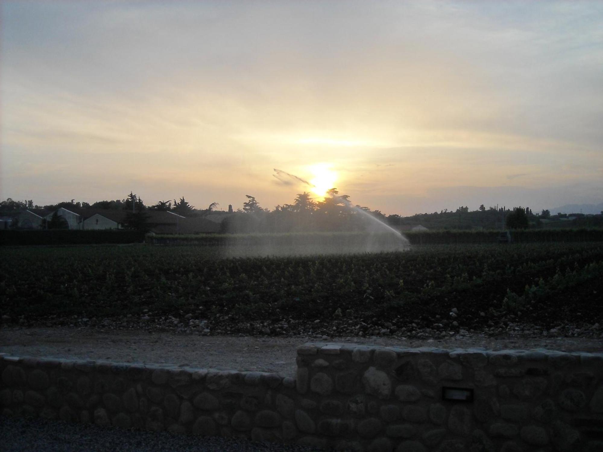 Agriturismo Le Campagnole บาร์โดลิโน ภายนอก รูปภาพ